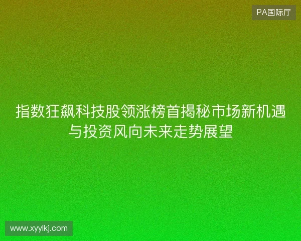 指数狂飙科技股领涨榜首揭秘市场新机遇与投资风向未来走势展望